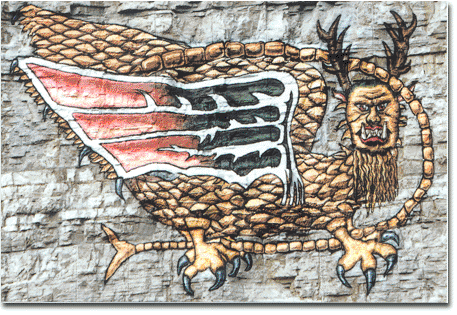 What are you looking at?